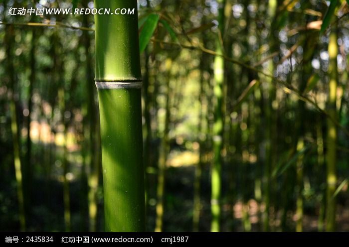 �����µ���ɫ����ͼƬ