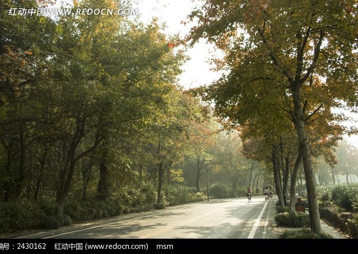 ����·������羰ͼƬ