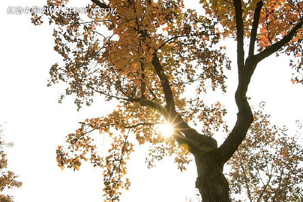 �����µķ���