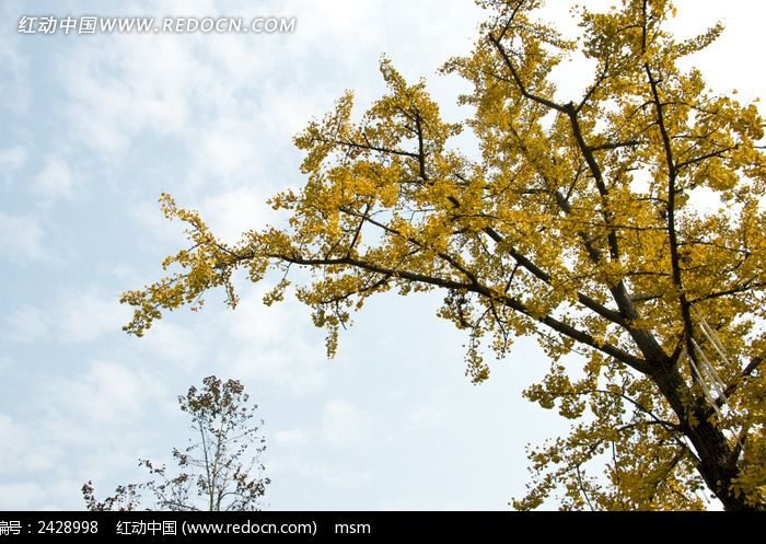 �����������ͼƬ