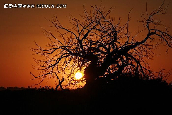 ����Ŀ���