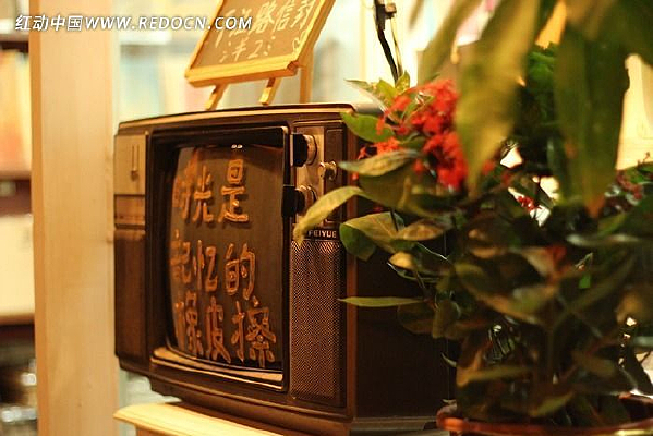 ���ŵ��ӻ�