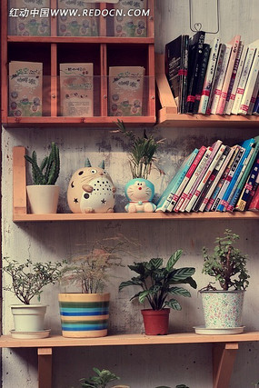 ���ϵ����