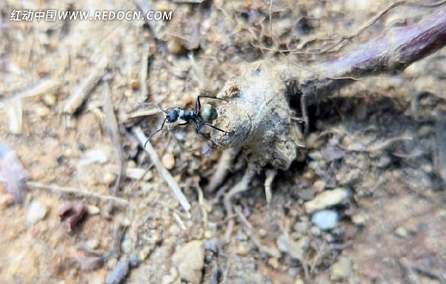 ������д