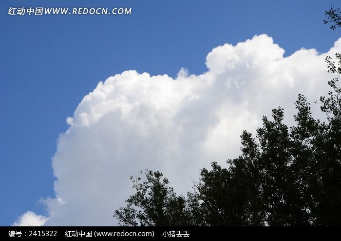 ���������ïʢ����֦ͼƬ