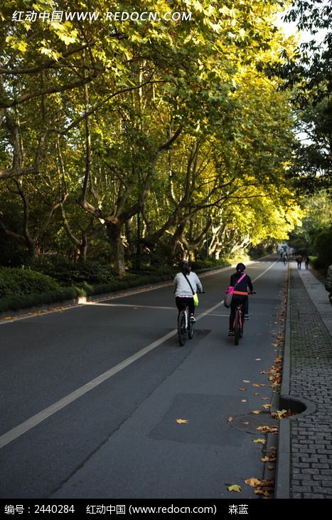 ��·���Ե�����ͼƬ