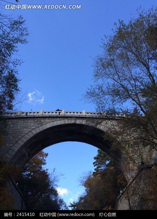 �����µ�«����ͼƬ