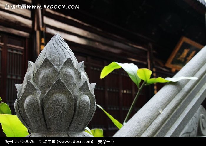 ̫ƽ���������ݵ���ͼƬ