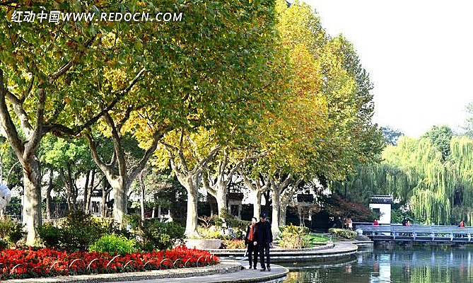 �����ӱ�