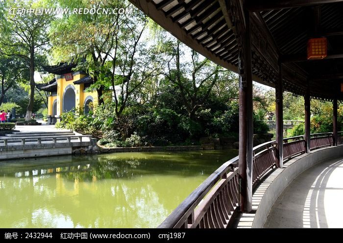 �Ŵ�������ĺ����Ž�ͼƬ