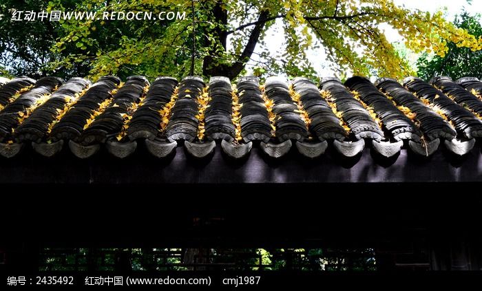 ������Ҷ���ݶ�ͼƬ