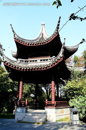 ����ͤ��