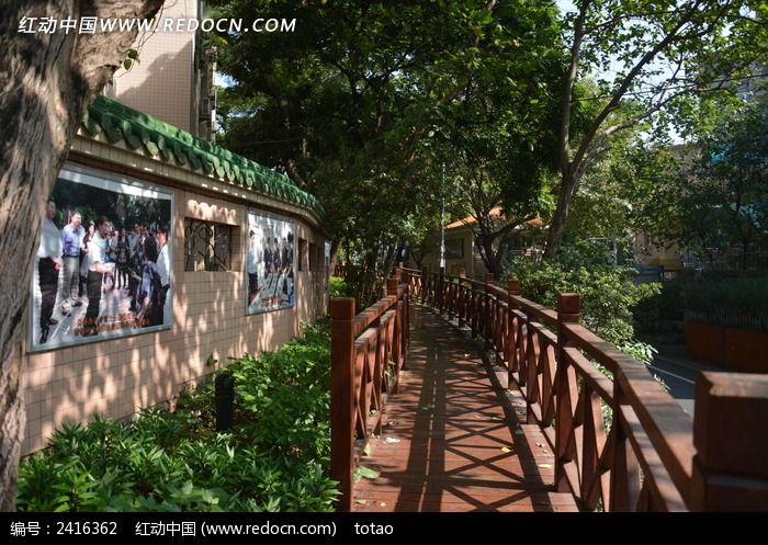 �̵�ľ����ͼƬ