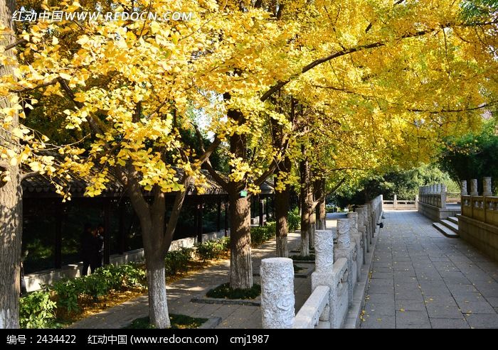 �������µĵ�·ͼƬ