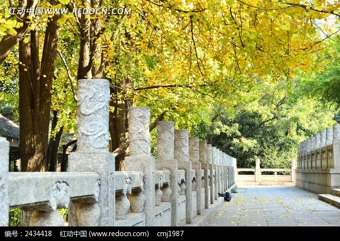 ����Ҷ�µĹŵ��·ͼƬ