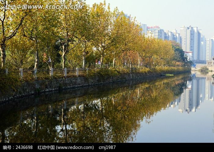 �����е�������ͼƬ