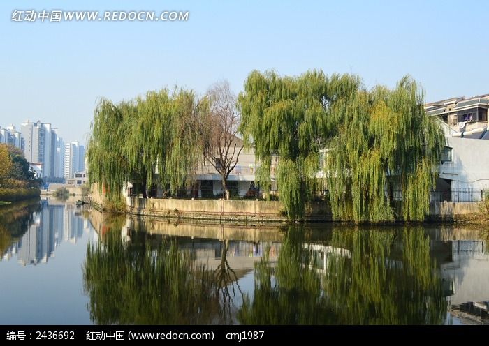 �ӵ���������ͼƬ