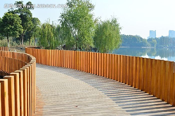 �����ĵ�·