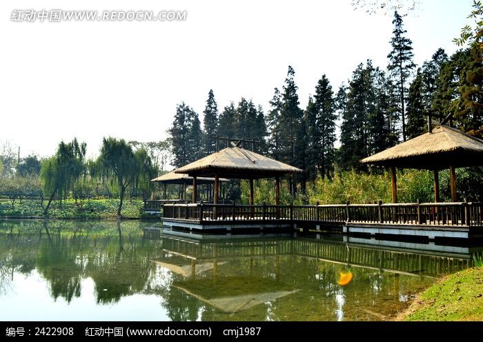 �����ϵ�é��ͤͼƬ