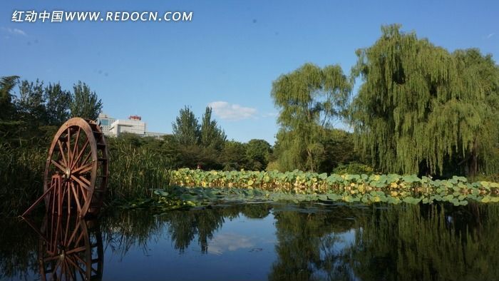 ������Ӱ