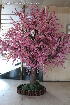 �����һ�