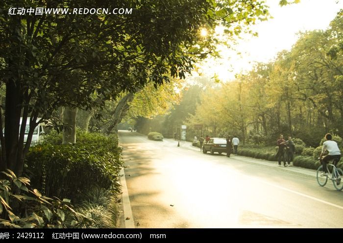 ������̹�·�ϵ���ͩ��ͼƬ