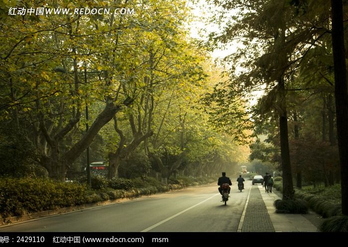 ������̹�·�ϵ���ͩ��ͼƬ