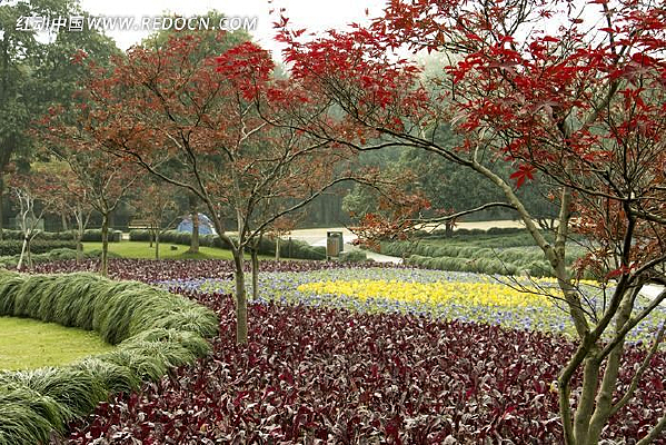 ���ݻ���