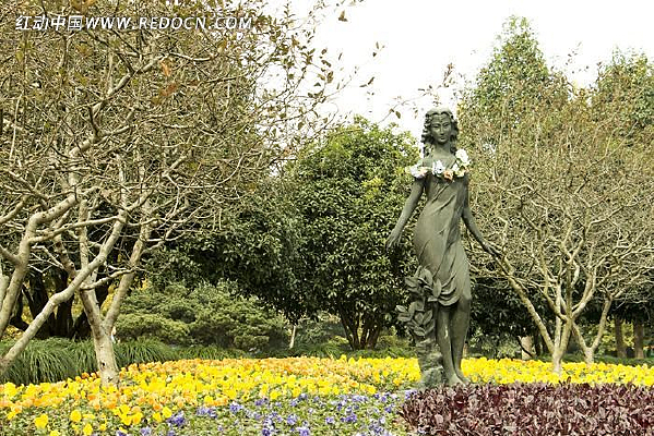 ���ݻ���