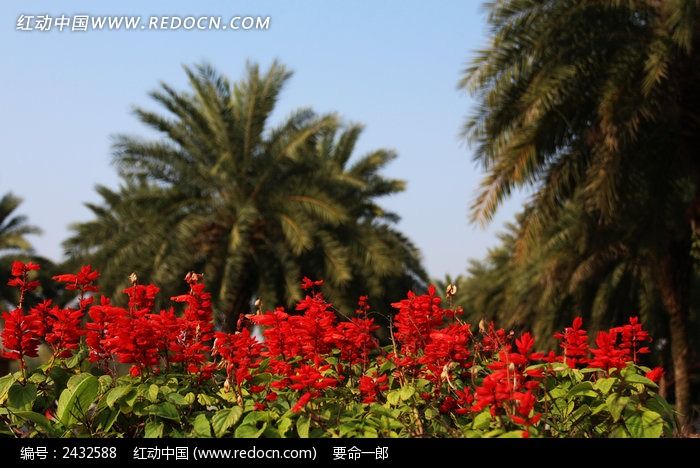 ��������㳡����ͼƬ