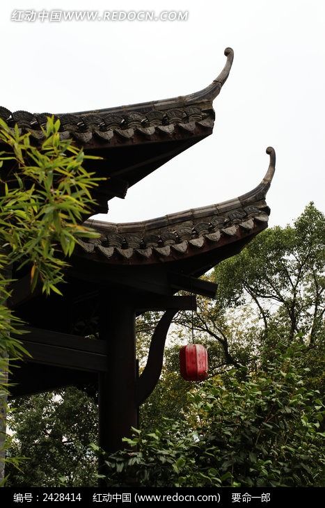 ��¥����һ�Ǻ����ͼƬ