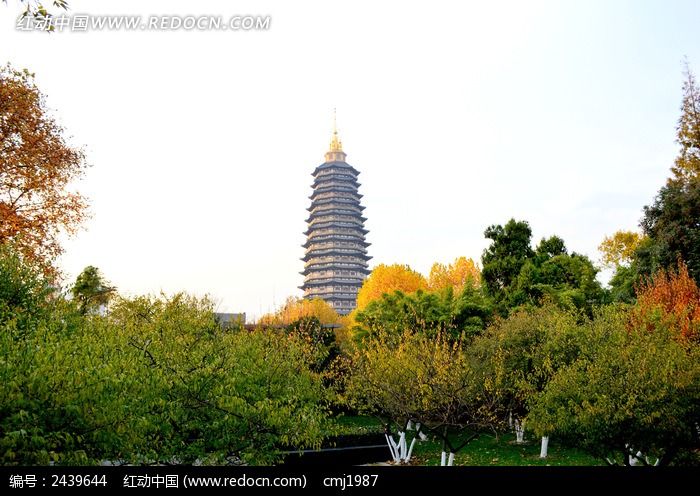 ��÷��԰����������ͼƬ