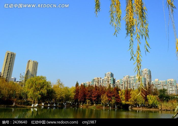 �����µĸ�¥����ͼƬ