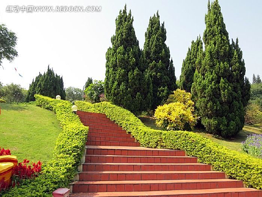 ��ɫ����