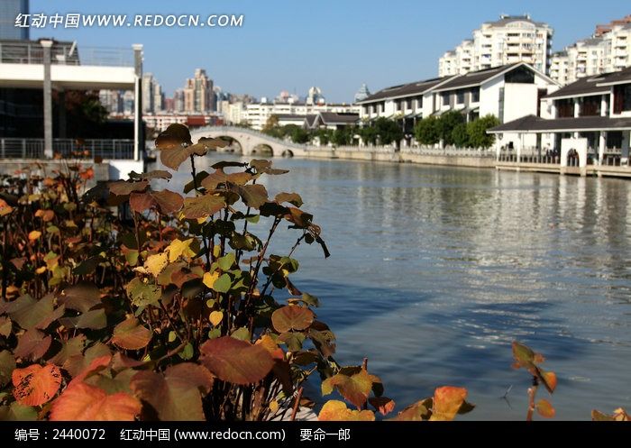 ӡ�����������ķ羰ͼƬ