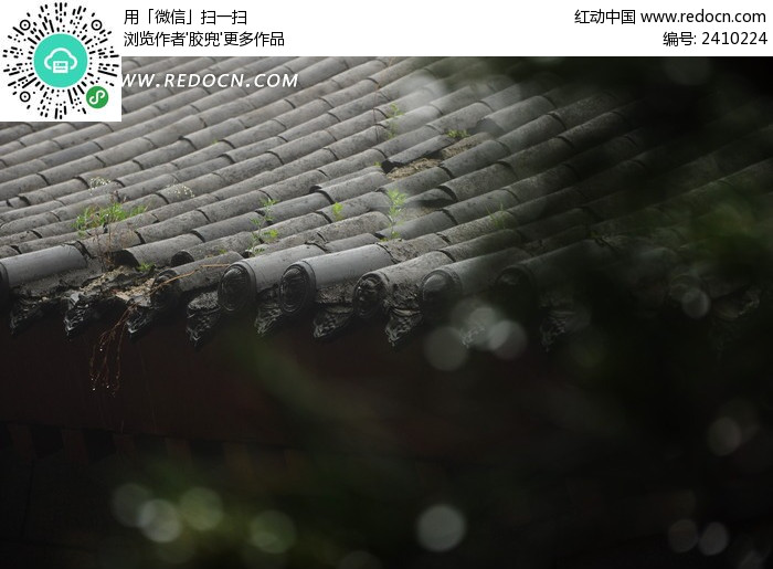 �Ϸ��ӵ��ݶ�ͼƬ