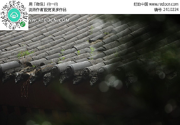 �Ϸ��ӵ�����