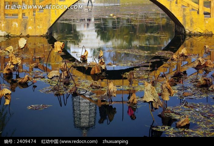 ��������ӰͼƬ