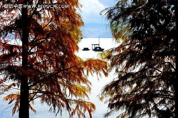 Զ����С��