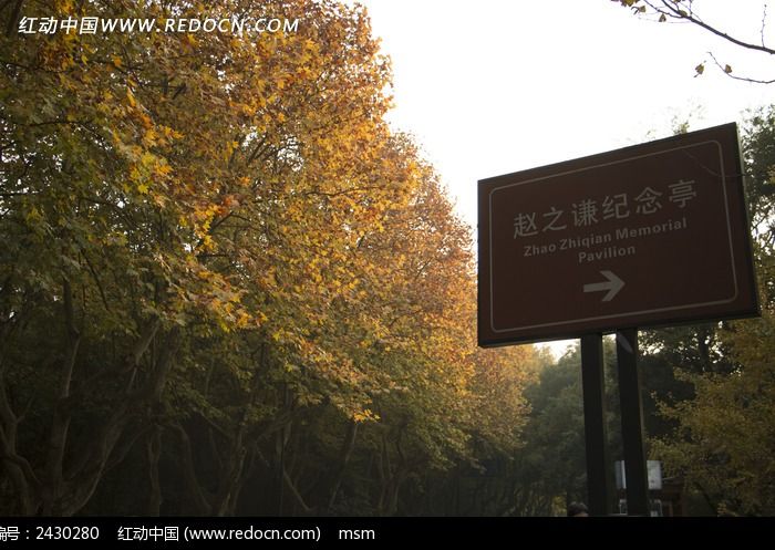 ��֮ǫ����ͤ����ͩ��ͼƬ