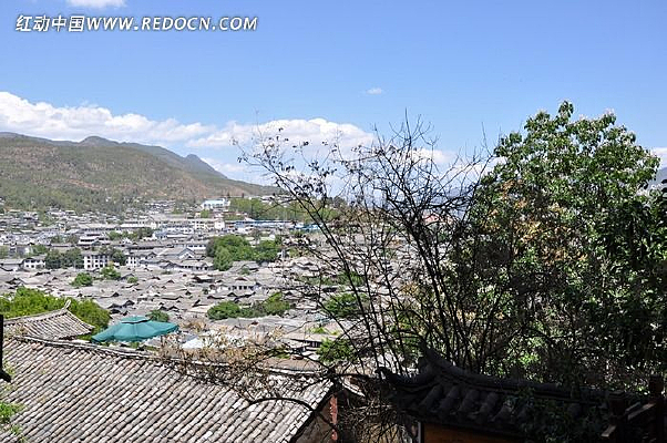 �����ųǷ���