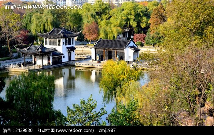 ��ɫ����ĺ�÷��԰ͼƬ