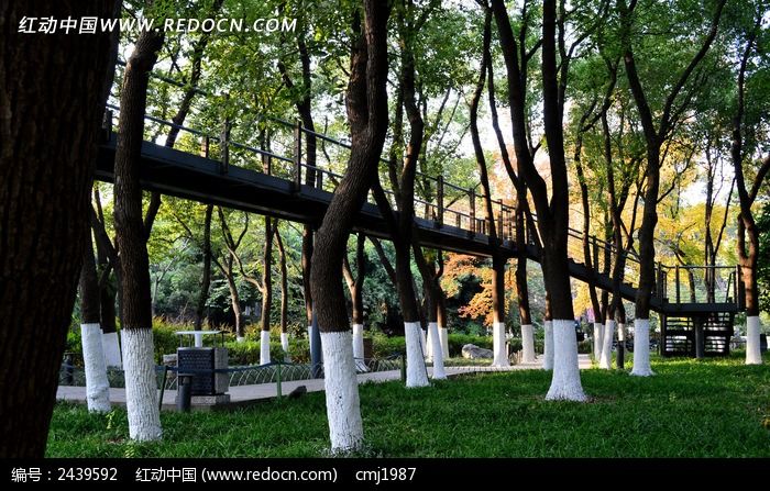 ��÷��԰������ͼƬ