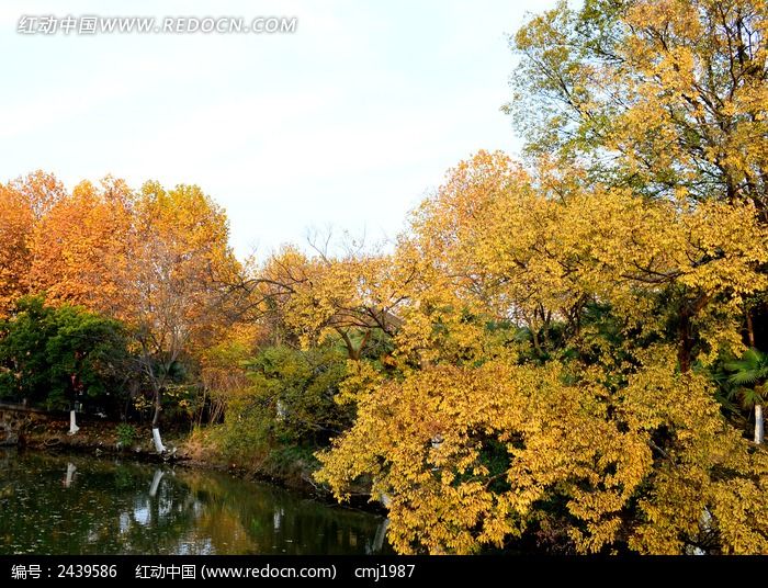 �＾��������ľͼƬ