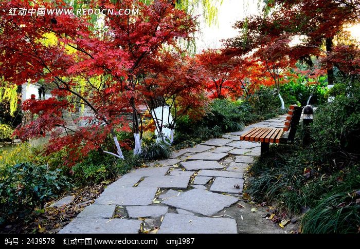 ��÷��԰ʯ��·ͼƬ