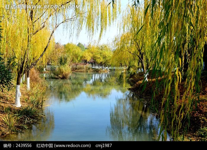 ��㹫԰������ͼƬ