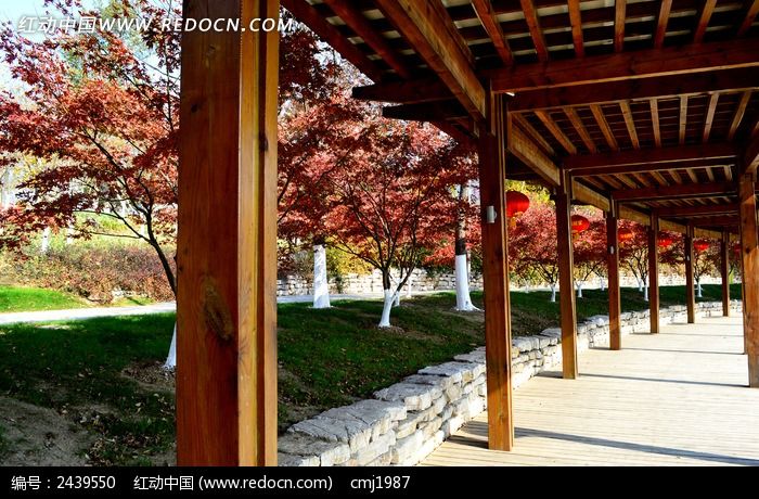 ��㹫԰�ĳ���ͼƬ