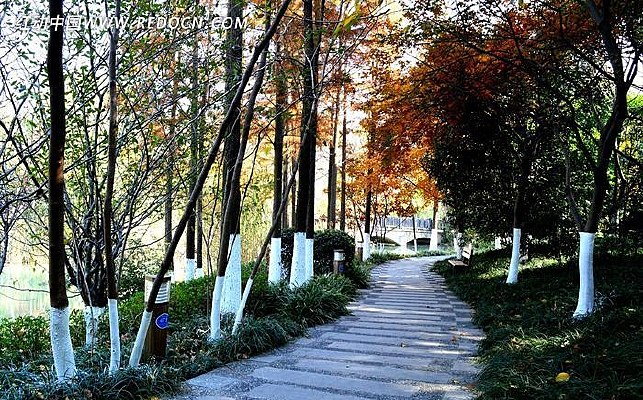 С·��������