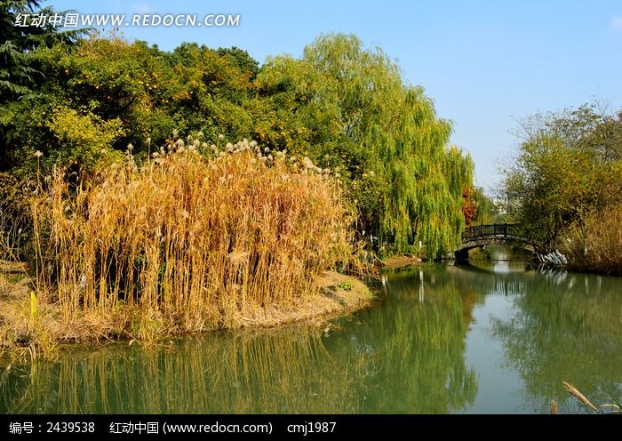 ��÷��԰�ĺ�������ͼƬ