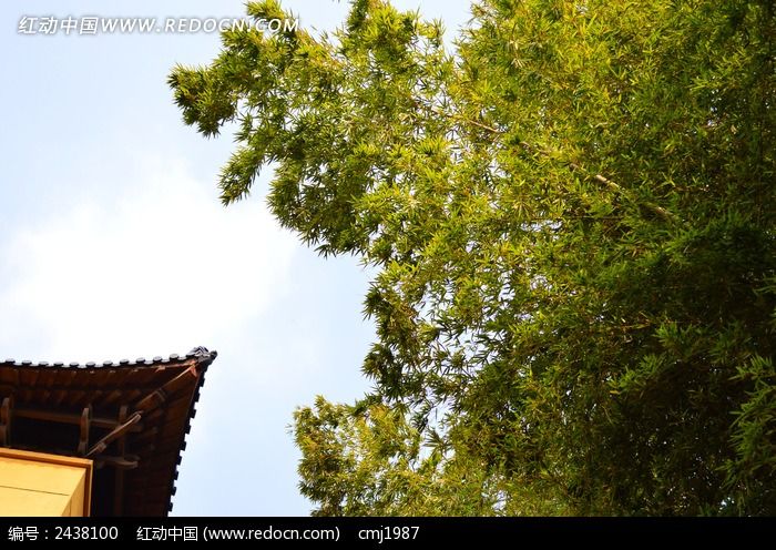 �����½������ܺ�����ͼƬ